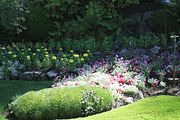 25 - Butchard Gardens  - IMG_1602